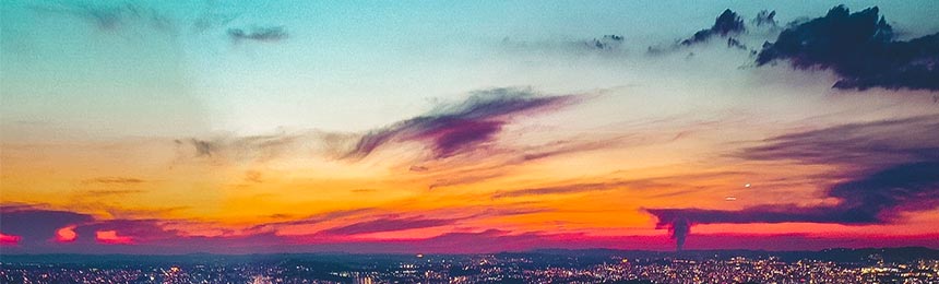 兰考茶虫网_兰考品茶